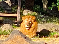 r7-10g-訪問教育遠足２