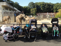 r7-10g-訪問教育遠足３