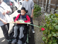 春の花探し1