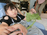 写真②
