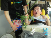 野菜２