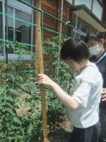 写真②
