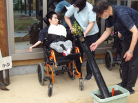 野菜観察１