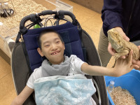 画像７