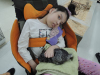 画像８をこの写真に変更してください。