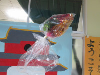 r7-11g-りゅうぐうじょう２