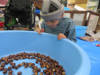 どんぐりころころ１