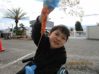 r7-1g-人参の収穫２