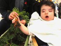 r7-2g-①人参収穫