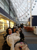 高修学旅行